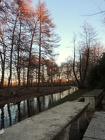 DSCN0764