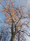 DSCN0766