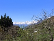 DSCN0913