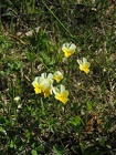 DSCN0914