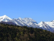 DSCN0916