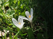 DSCN0922