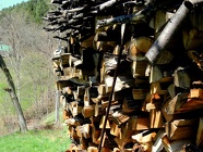 DSCN0926