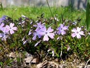 DSCN0938
