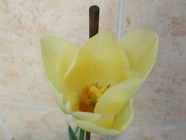 DSCN0848