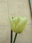 DSCN0849