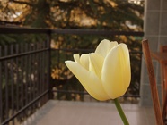 DSCN0856 - Copia