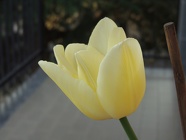 DSCN0857