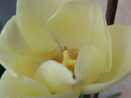 DSCN0860