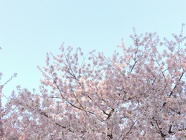 DSCN0875