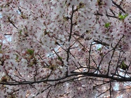 DSCN0876