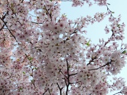 DSCN0885