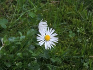 DSCN0888
