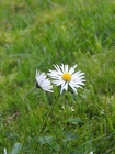 DSCN0889
