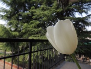 DSCN0892