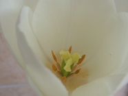 DSCN0900