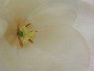 DSCN0904
