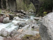 DSCN1005