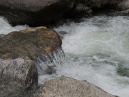 DSCN1010