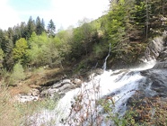 DSCN1032