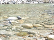 DSCN1038