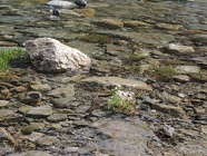DSCN1045