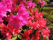 DSCN0984