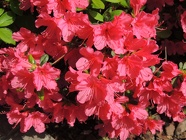 DSCN0999