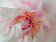 DSCN1060