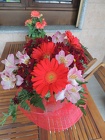 DSCN1067