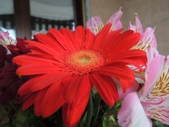 DSCN1068