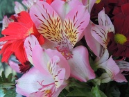 DSCN1072