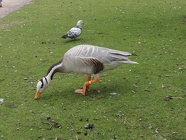 DSCN1177