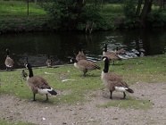 DSCN1180
