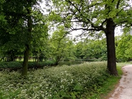 DSCN1181