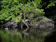 DSCN1197