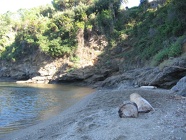 elba_2013 028