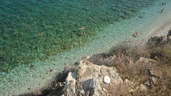 DSC08201