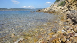DSC07985