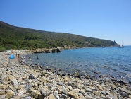 DSC08135