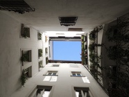 DSCN1949