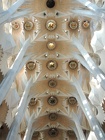 DSCN2160
