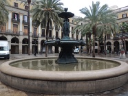 DSCN2193