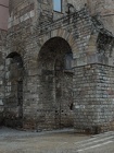 DSCN2211