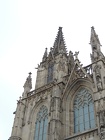 DSCN2215