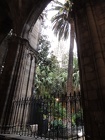 DSCN2223