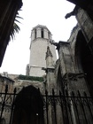DSCN2225