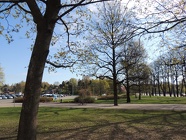DSCN2420