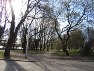 DSCN2427