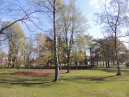 DSCN2430